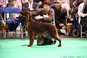 Crufts2011 639